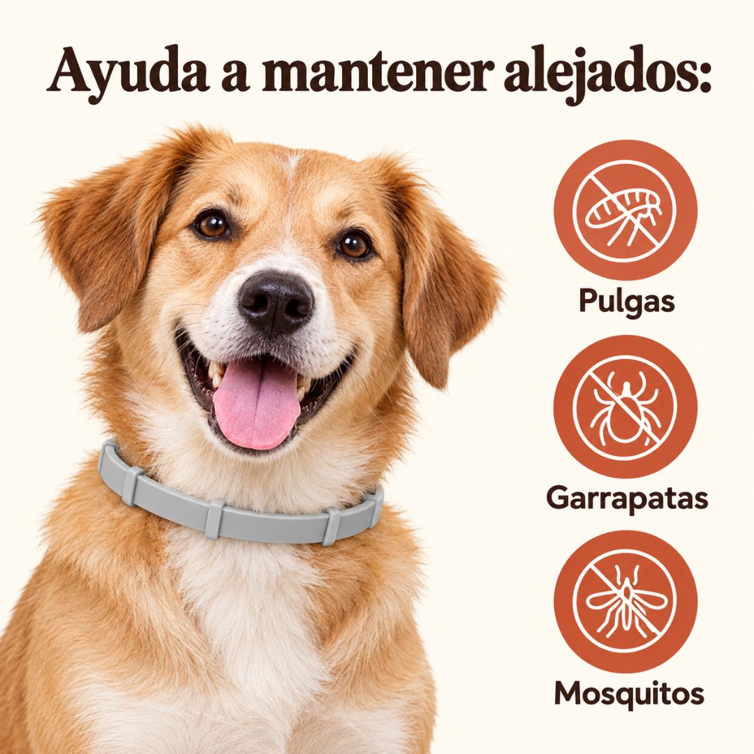 Collar Antipulgas 8 Meses PawHogar