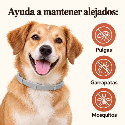 Collar Antipulgas 8 Meses PawHogar