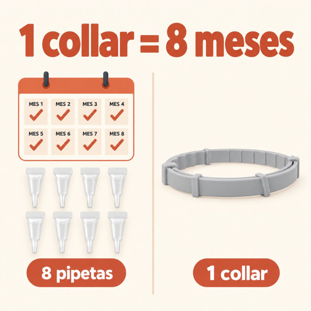 Collar Antipulgas 8 Meses PawHogar