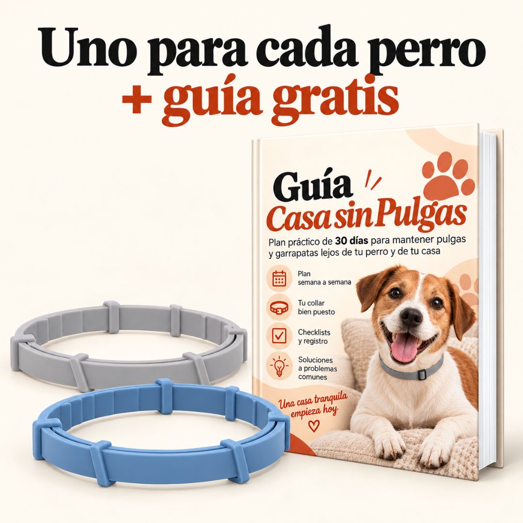 Collar Antipulgas 8 Meses PawHogar