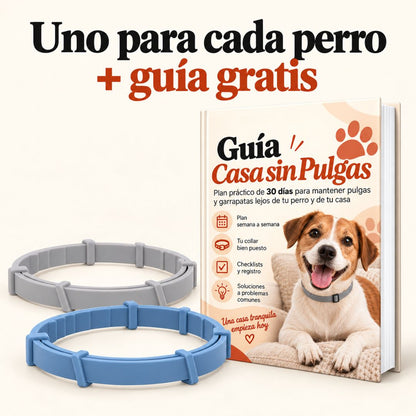 Collar Antipulgas 8 Meses PawHogar