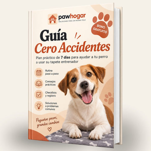 Guia Cero Accidentes PawHogar